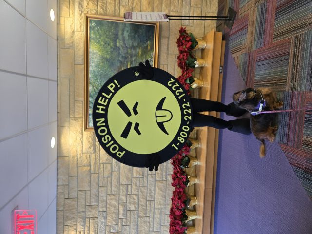 Mr. Yuk mascot poses with service dog Benny