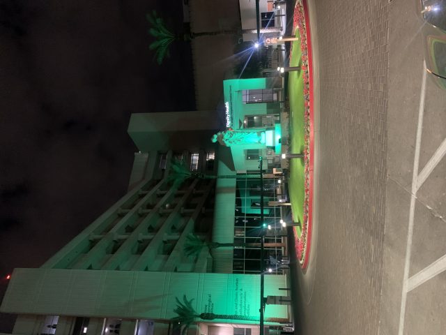 St. Joseph's Hospital and Medical Center on NIPD 2024