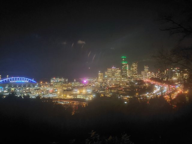 Seattle City in Green 