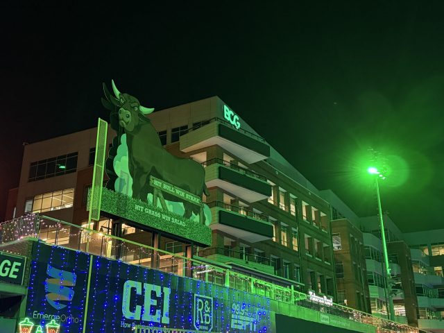 Durham Bull next to a green stadium light