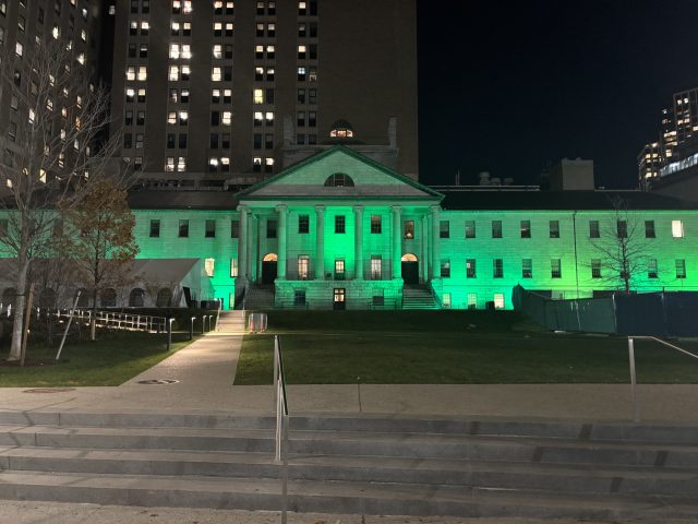 Massachusetts General Hospital Lighting