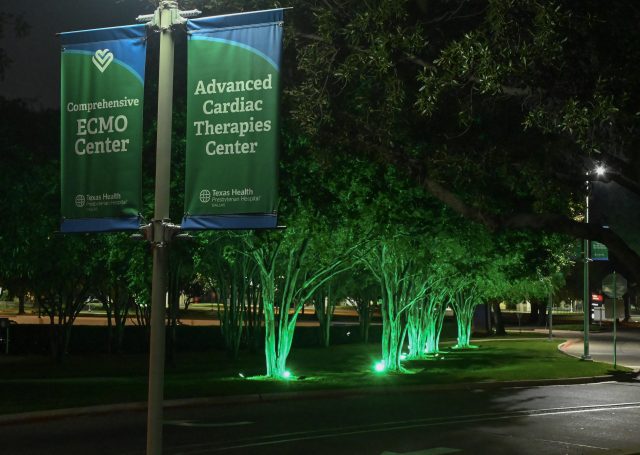 Entrance A Shines Green 